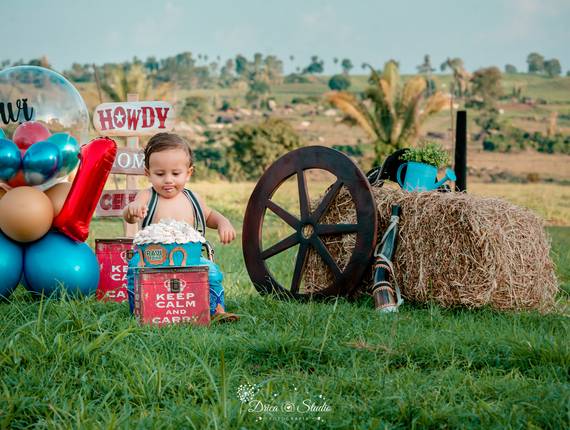 Smash The Cake de Ravi - smash de cake 