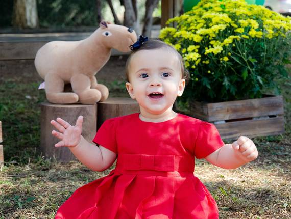 Aniversários Infantis de Luiza 1 ano