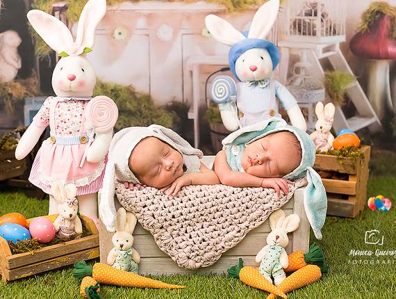 Newborn de Ensaio Newborn Gêmeos E & V - 15º Dia