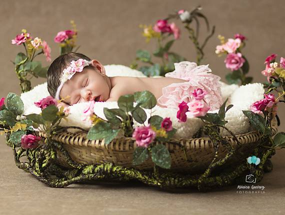 Newborn de Ensaio Newborn Nina - 12º Dia