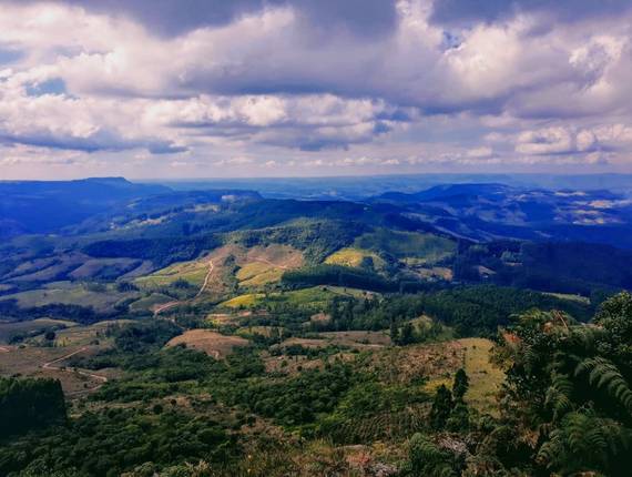 Paisagens  de Morro da Pedra Branca 