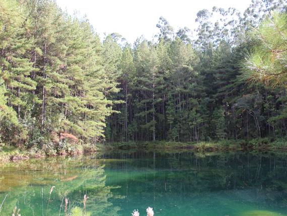 Paraná de Lagoa Azul