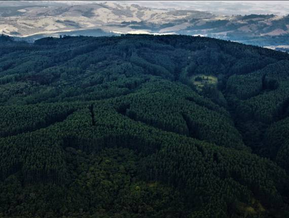  Paraná de Paisagens 