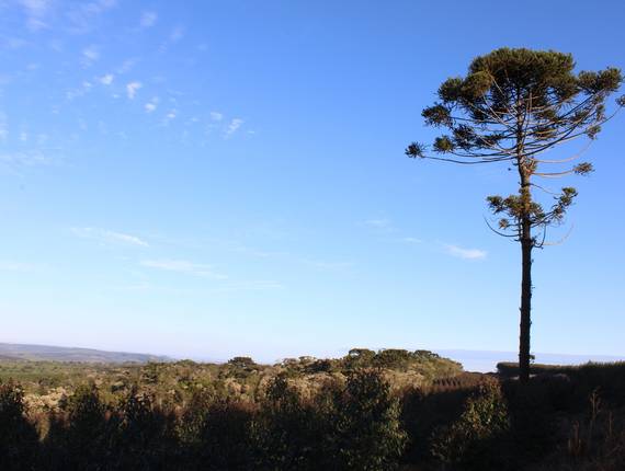 Paisagens  de Paraná