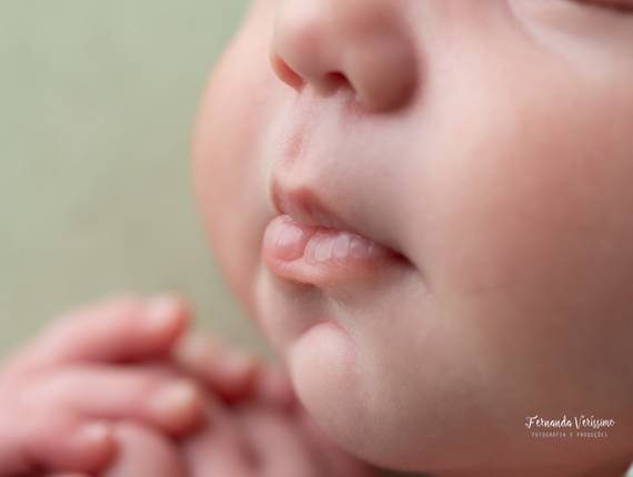 Newborn de Newborn Bernardo