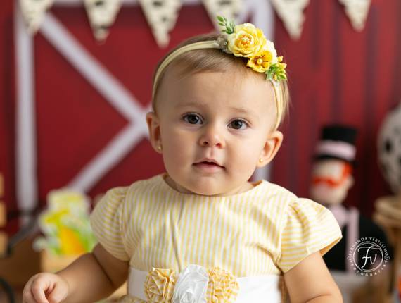 Smash the Cake de A fazendinha da Laila