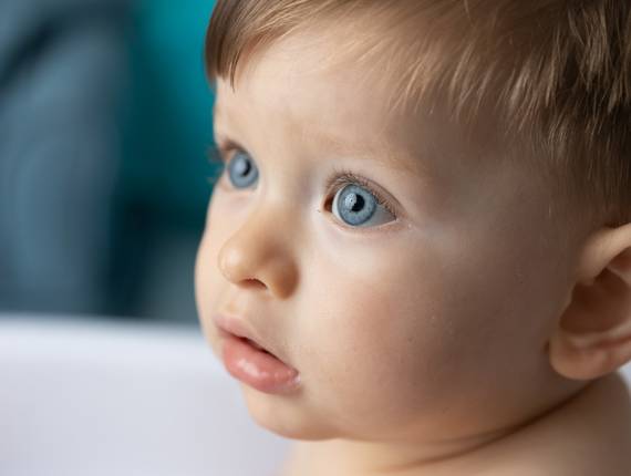 Smash the Cake de Bento completou 1