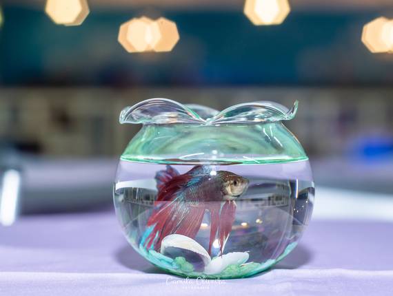 Festa Infantil de 1 ano Júlia