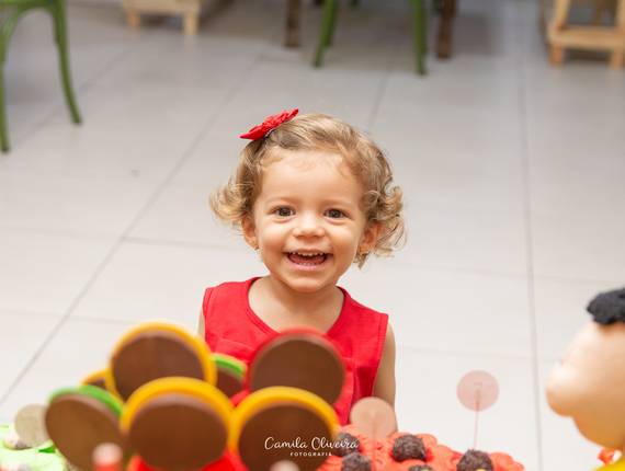 Festa Infantil de 2 anos Melissa