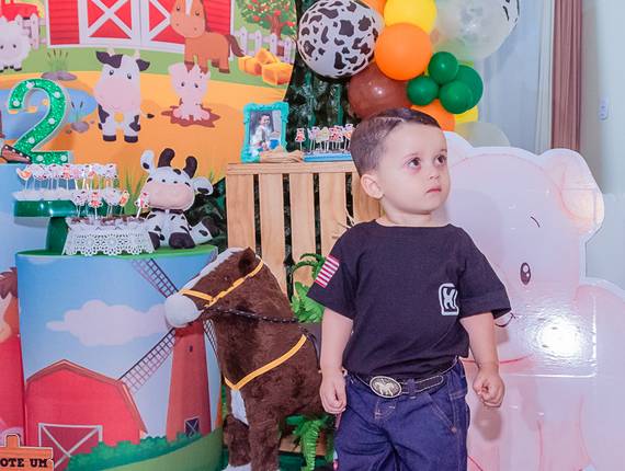 FESTA INFANTIL de Felipe 2 anos