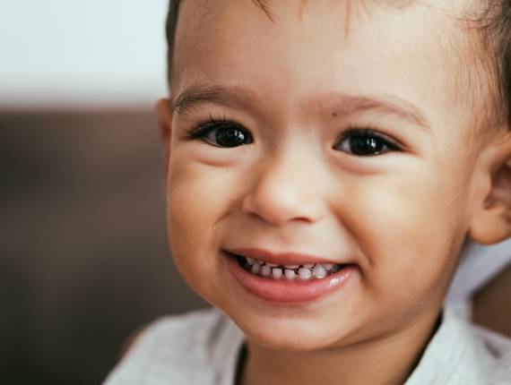 Ensaios de Ensaio do Benjamin