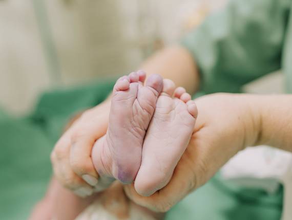 Parto Cesárea de Nascimento Noah