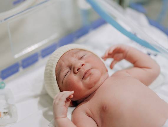 Parto Cesárea de Nascimento Bernardo