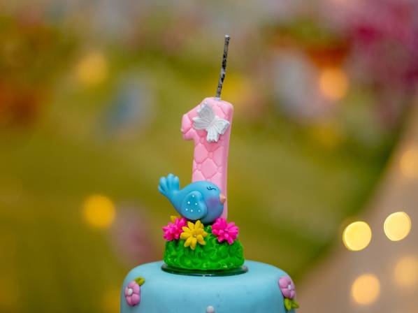 Eventos de Aniversário 1 ano - Maria Alice