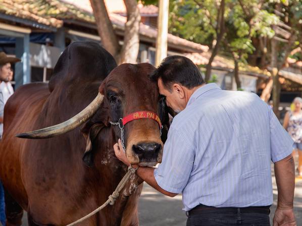 Eventos Corporativos de Expozebu - Harmonika Produtora