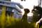  de 