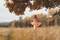Babybauchshooting de 