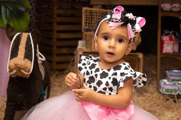 Roupa para festa de 1 ano fazendinha clearance