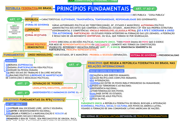 Direito Constitucional ConstituiÇÃo Federal PrincÍpios Fundamentais 1241