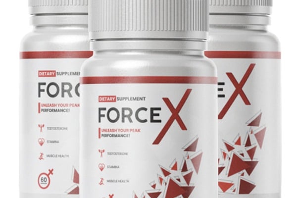 force-x-kapse.alboompro.com