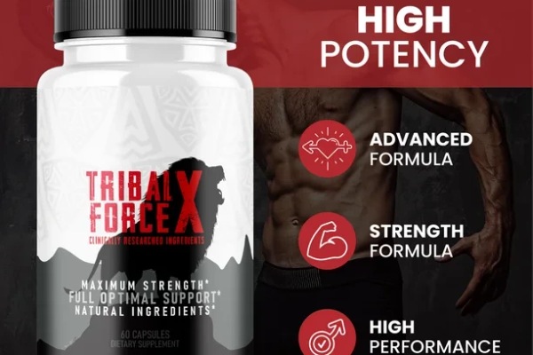 tribalforcexm.alboompro.com