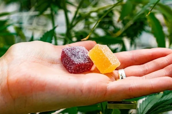greennaturefa1.alboompro.com