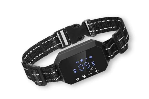 eddiecardenas.alboompro.com