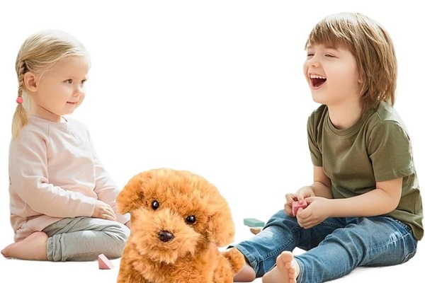 ramjijane.alboompro.com