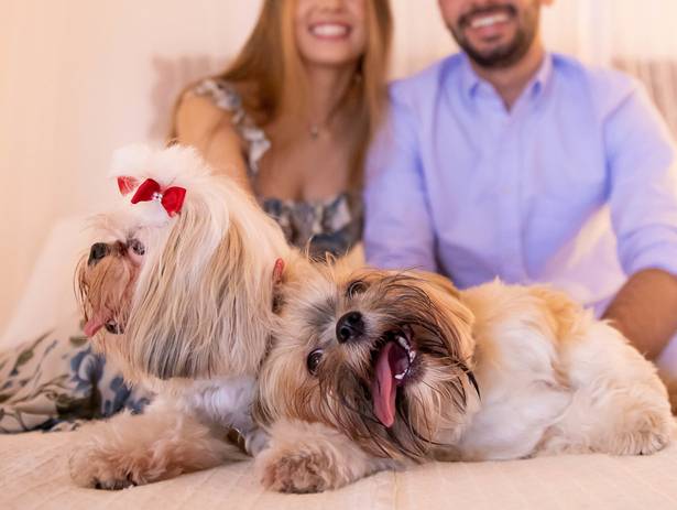 Save The Date de Nathália & Gustavo