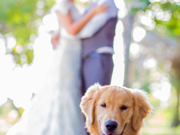 Trash the Dress de Larissa & Orozimbo