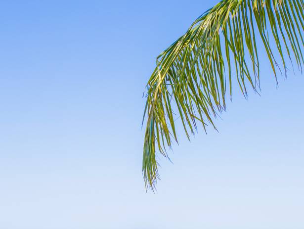 Save The Date de Nathália & Gabriel