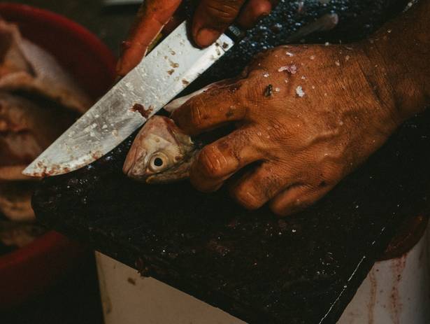 Ensaio de PESCA RITUAL