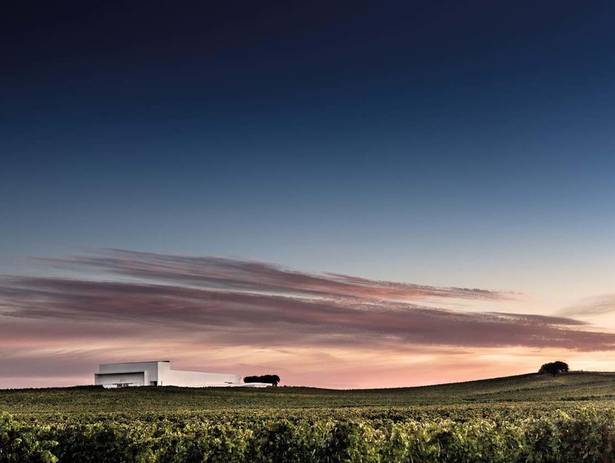 vinhos de Adega Mayor