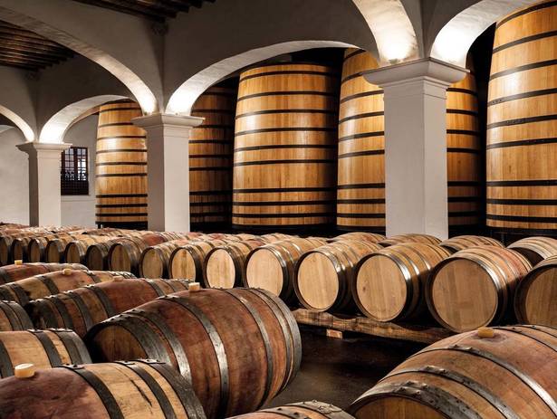 vinhos de Adega João Portugal Ramos