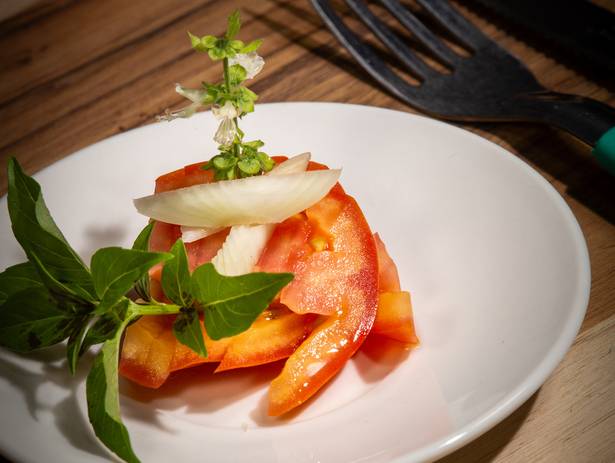 Gourmet  de Diversificando um pouco o trabalho 