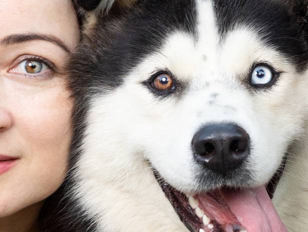 Externas de Hanna e Hershey