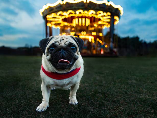 Externas de Margot e Matilde!