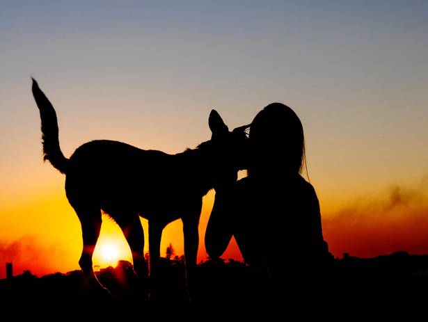 Externas de Safira e Pirralho!