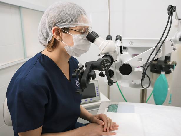 Retratos de Ambientado