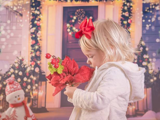 Natal de Ensaios de Natal  - Estúdio Fotográfico com Cenário em Belo Horizonte - MG