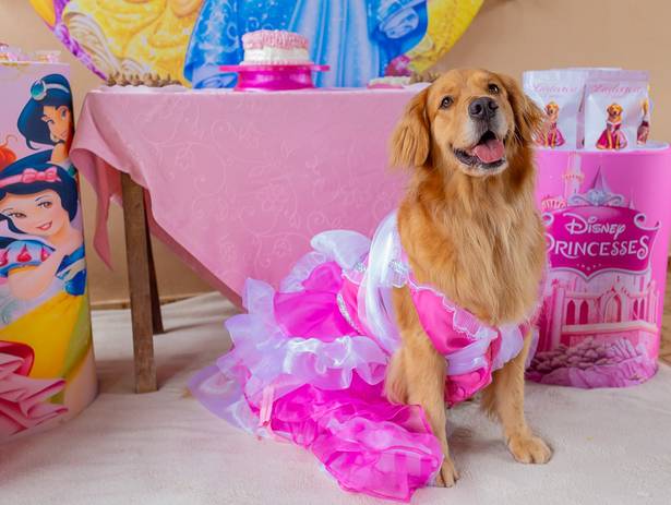 Aniversário  de Ludovica