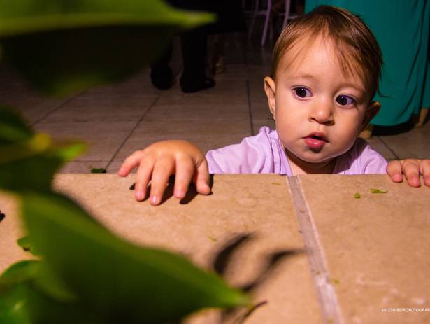 Aniversário  de BENÍCIO & DAVI 