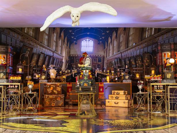 aniversário infantil de Magia e Feitiçaria: Os 5 Anos do Enzo no Planet Mundi com Tema Harry Potter!