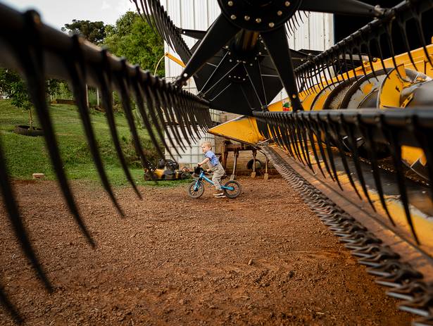 Ensaio Criança de Getúlio na casa da Nona