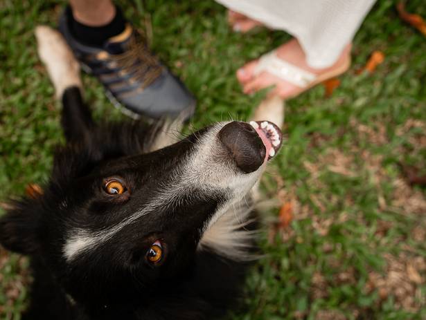 Gestantes de A espera pela Julia