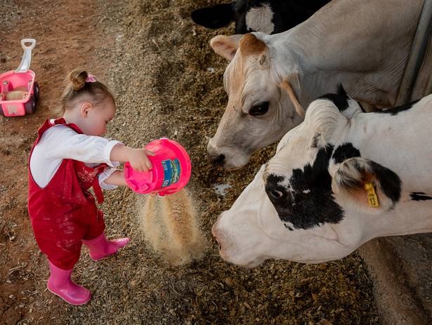 Ensaio Criança de Aurora - Ensaio Infantil