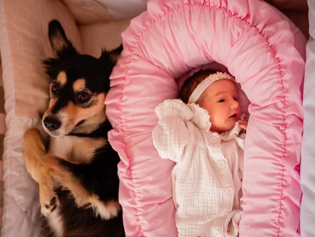 Newborn de Lavínia - 12 Dias - Ensaio em casa