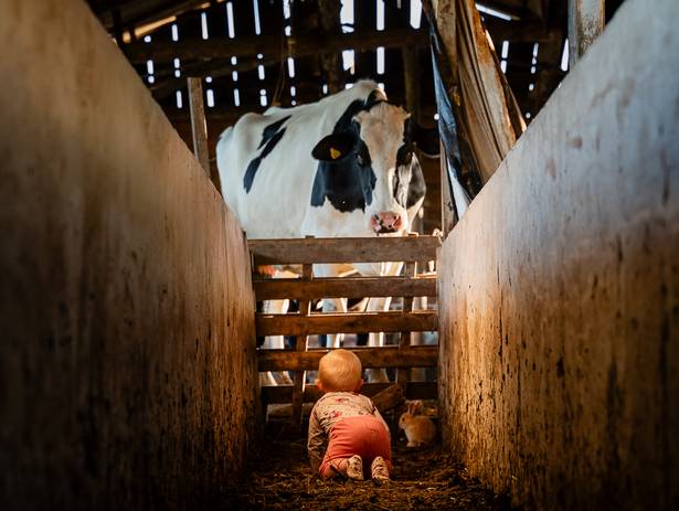 Ensaio Criança de Mundo é pequeno quando a infância é grande!