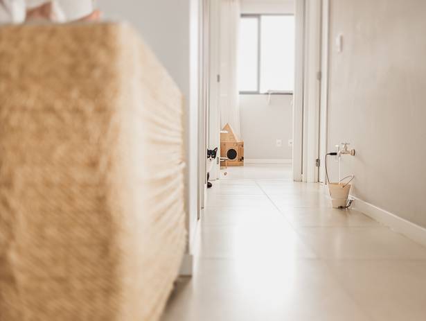 Retratos de Estimação de Thomas e Ripley