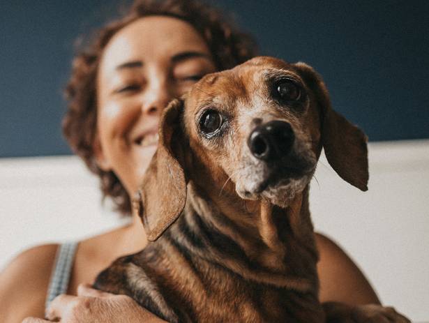 Estúdio de Estimação de Mel